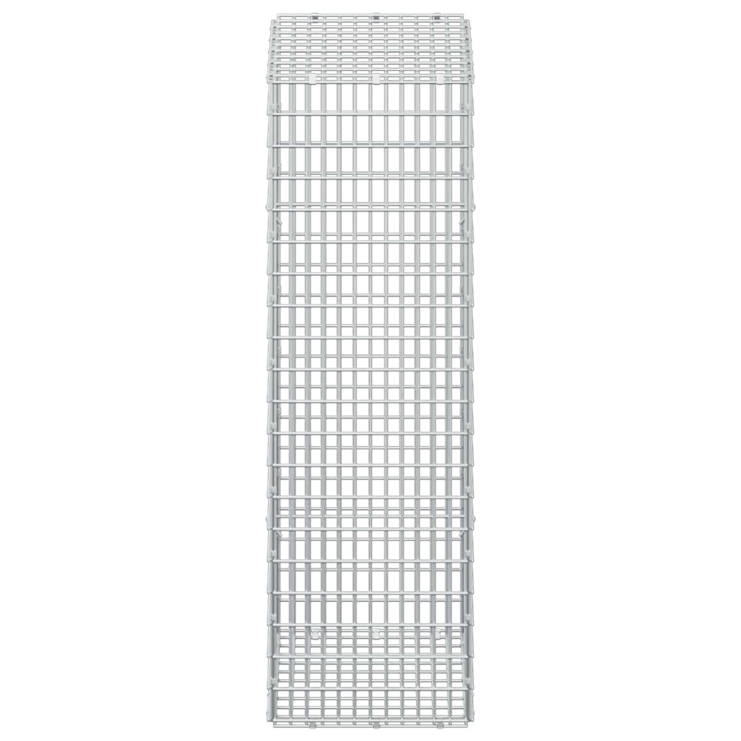 vidaXL Γκαμπιόν με σύρμα 5 mm και πλέγμα 5x2,5 cm 50x30x100 εκ