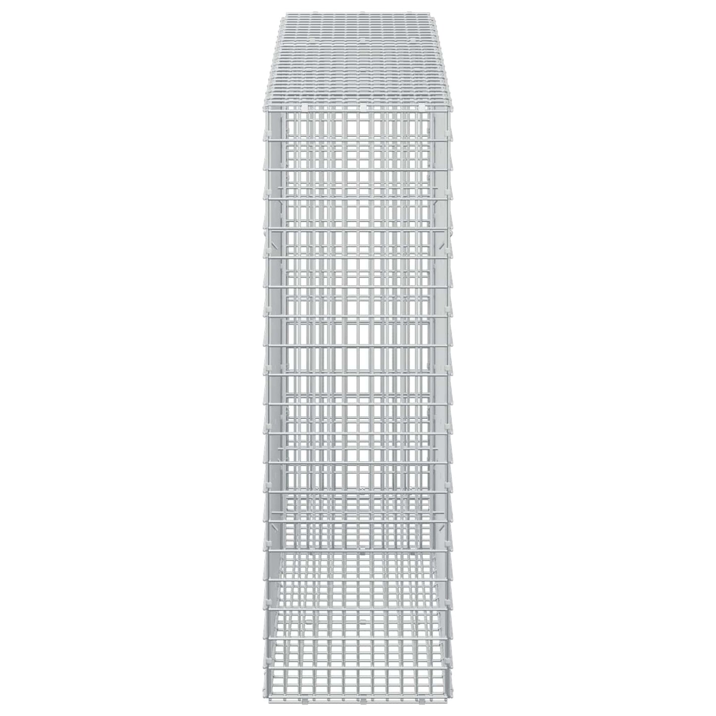 vidaXL Γκαμπιόν με σύρμα 5 mm και πλέγμα 5x2,5 cm 150x30x100 εκ