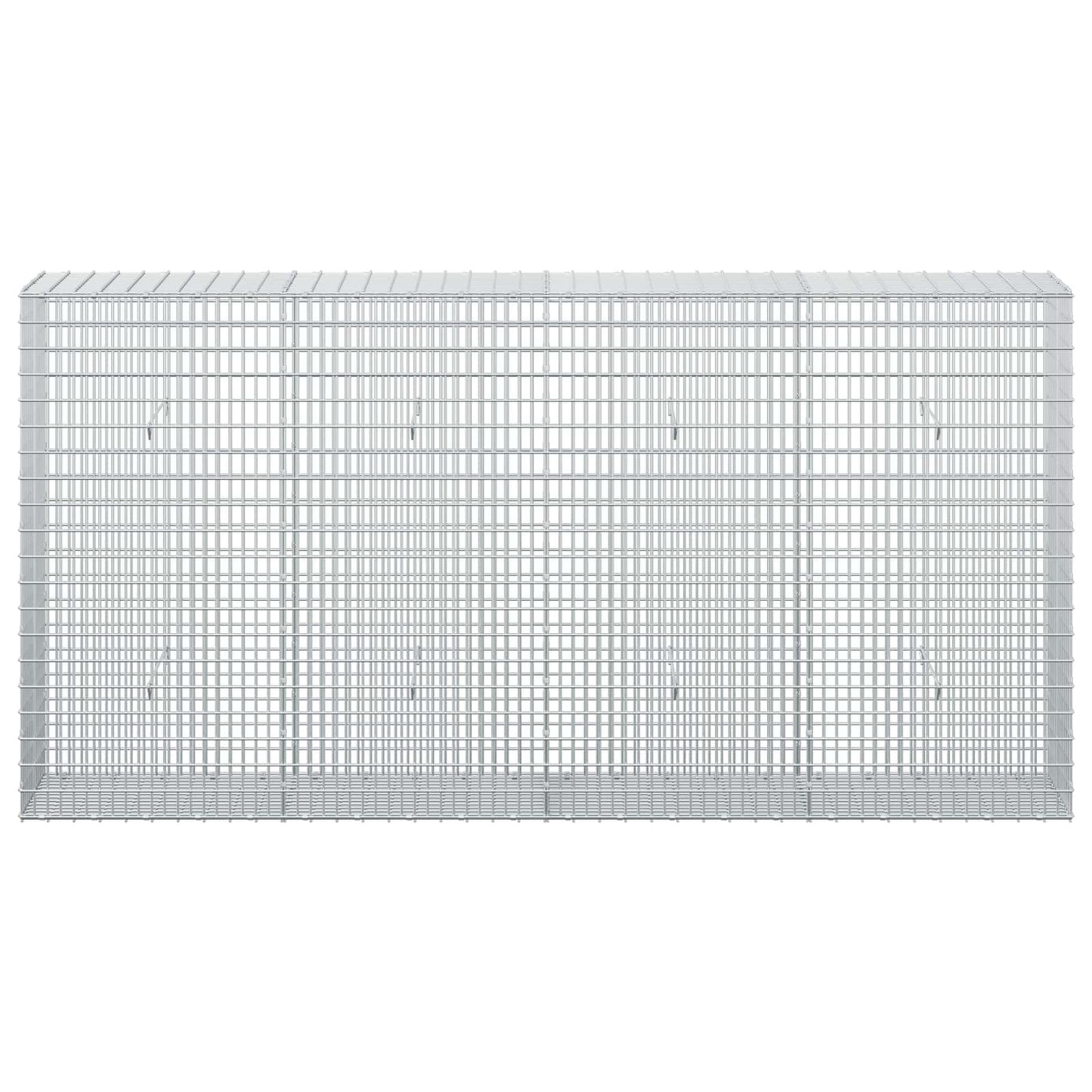 vidaXL Γκαμπιόν με σύρμα 5 mm και πλέγμα 5x2,5 cm 200x30x100 εκ