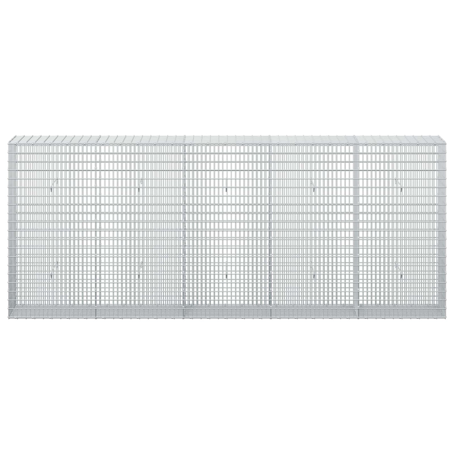 vidaXL Γκαμπιόν με σύρμα 5 mm και πλέγμα 5x2,5 cm 250x30x100 εκ