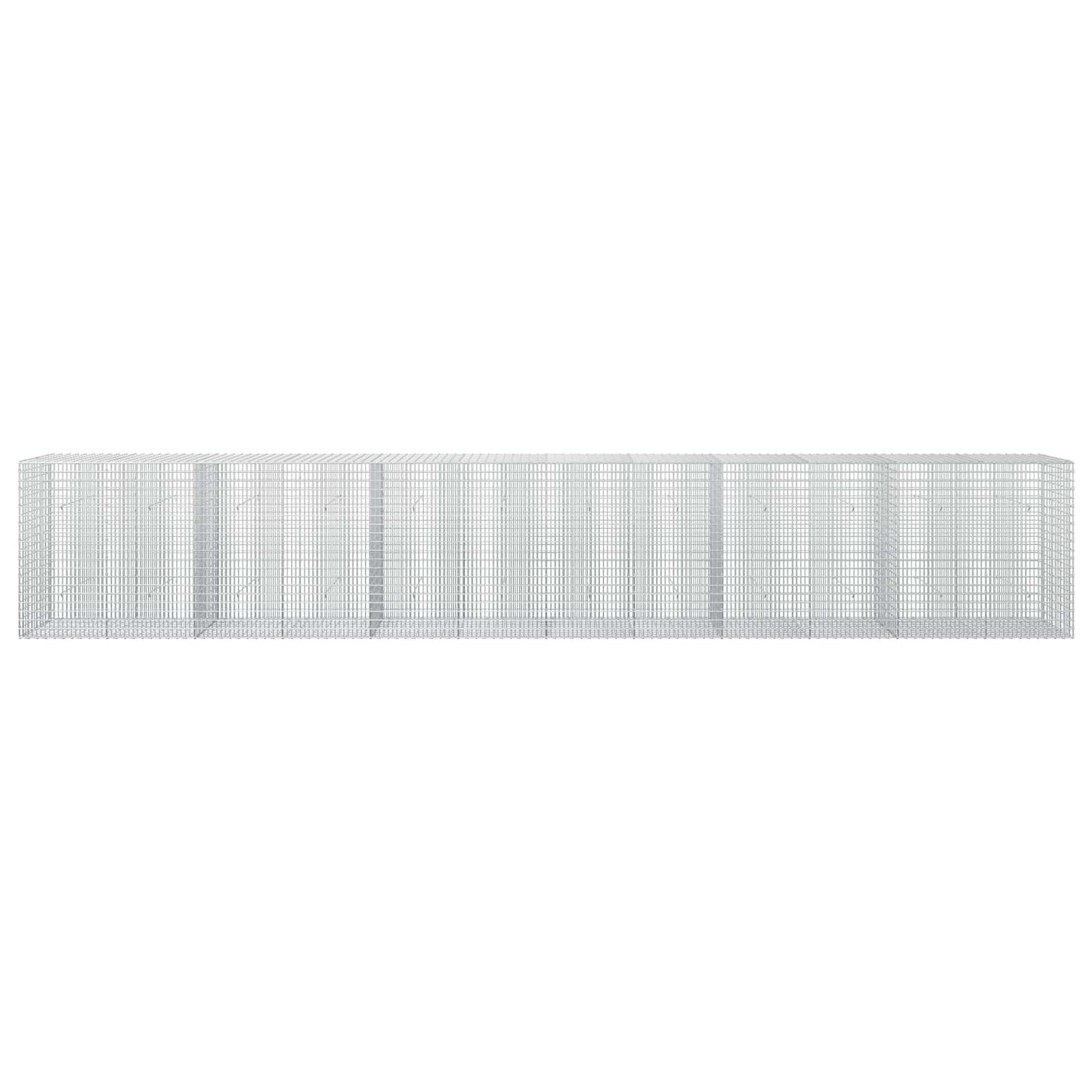 vidaXL Γκαμπιόν με σύρμα 5 mm και πλέγμα 5x2,5 cm 600x30x100 εκ