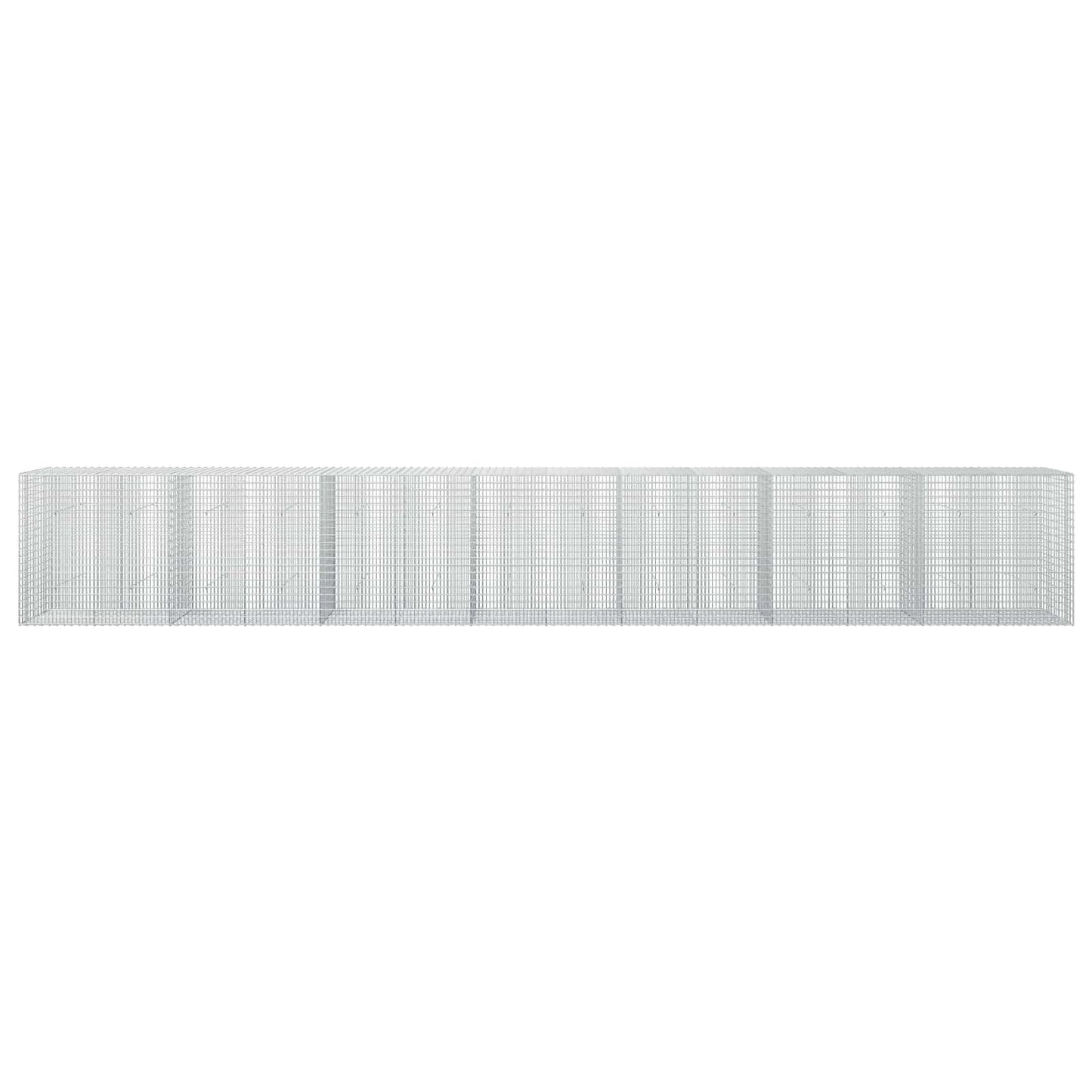 vidaXL Γκαμπιόν με σύρμα 5 mm και πλέγμα 5x2,5 cm 700x30x100 εκ