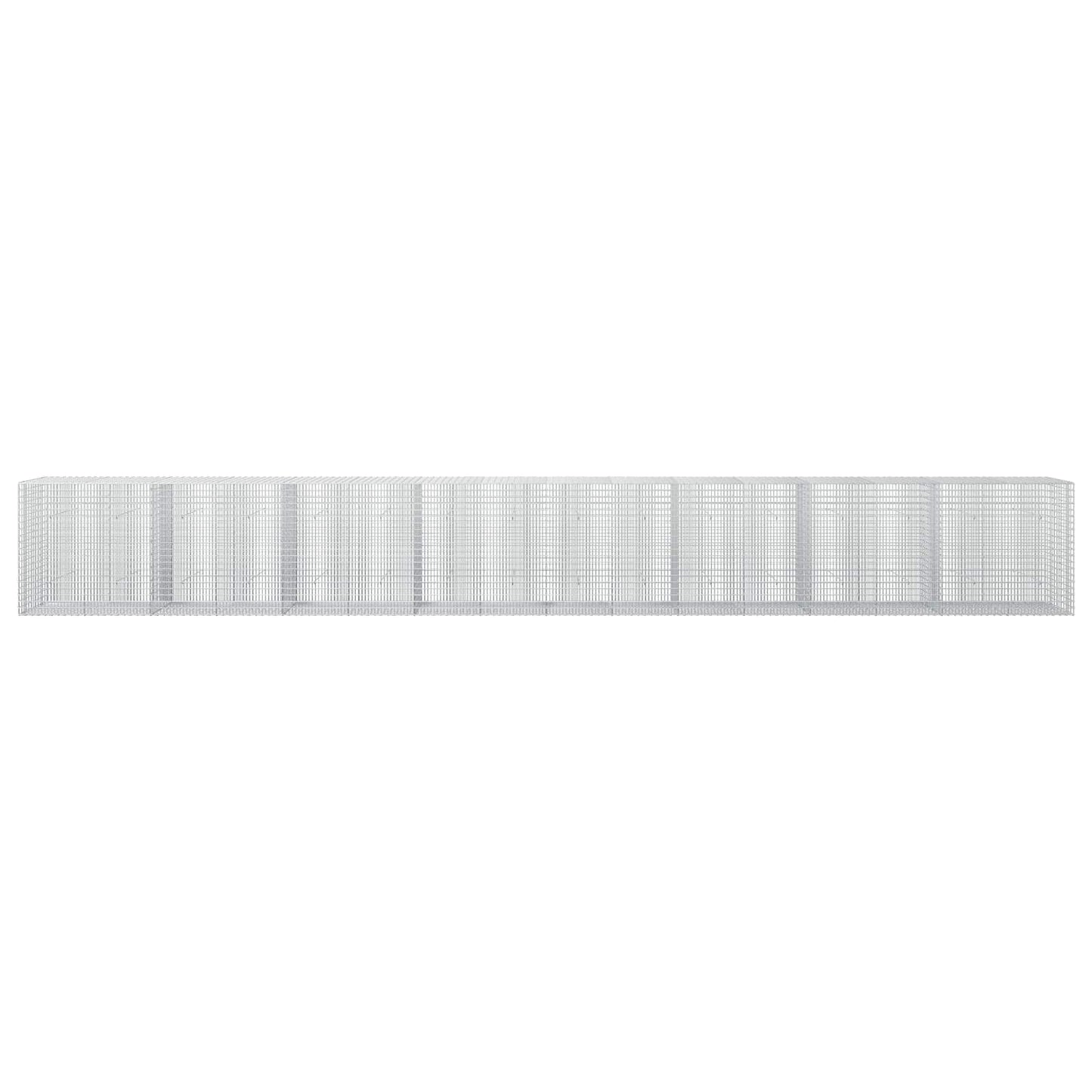 vidaXL Γκαμπιόν με σύρμα 5 mm και πλέγμα 5x2,5 cm 800x30x100 εκ