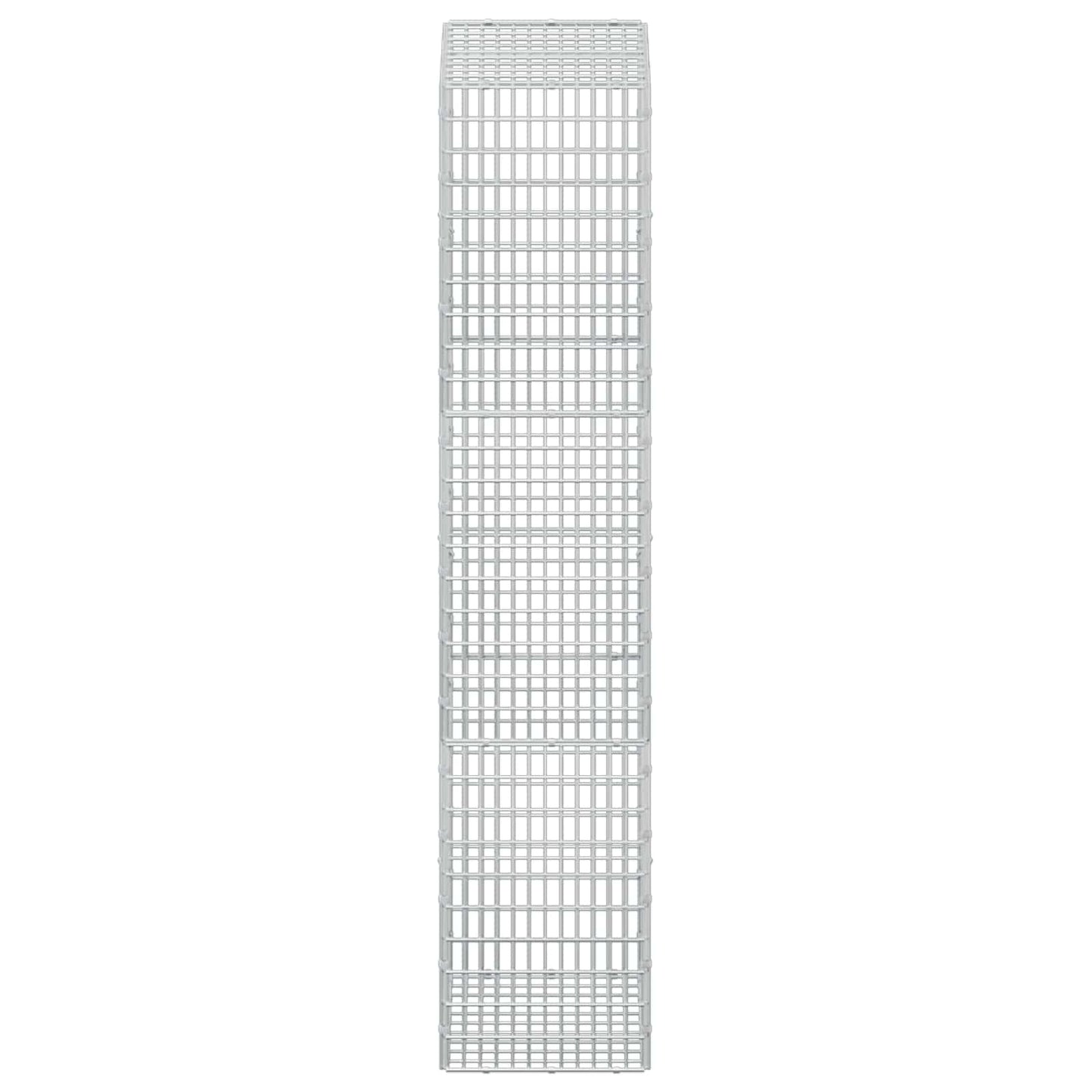 vidaXL Γκαμπιόν με σύρμα 5 mm και πλέγμα 5x2,5 cm 50x30x150 εκ
