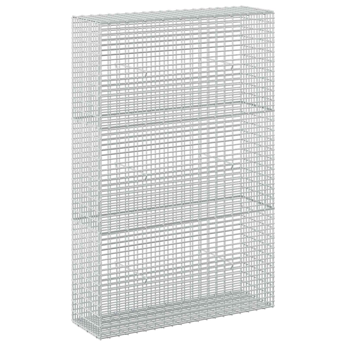 vidaXL Γκαμπιόν με σύρμα 5 mm και πλέγμα 5x2,5 cm 100x30x150 εκ