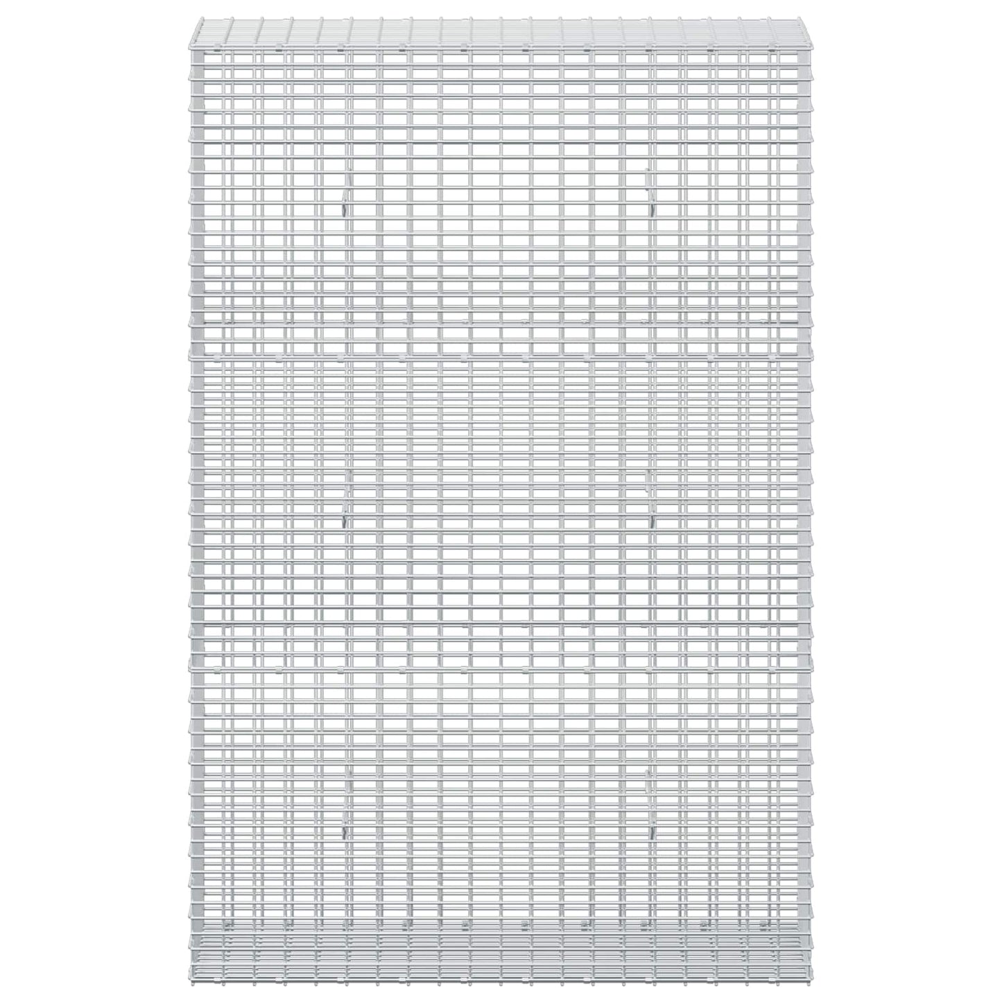 vidaXL Γκαμπιόν με σύρμα 5 mm και πλέγμα 5x2,5 cm 100x30x150 εκ