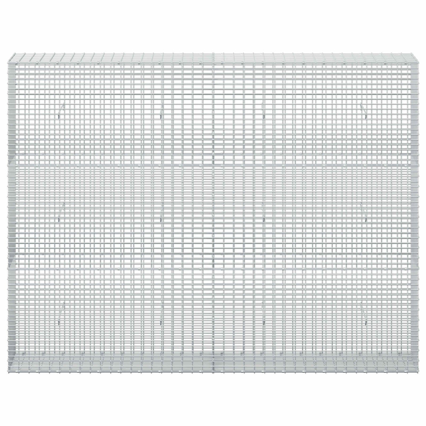 vidaXL Γκαμπιόν με σύρμα 5 mm και πλέγμα 5x2,5 cm 200x30x150 εκ