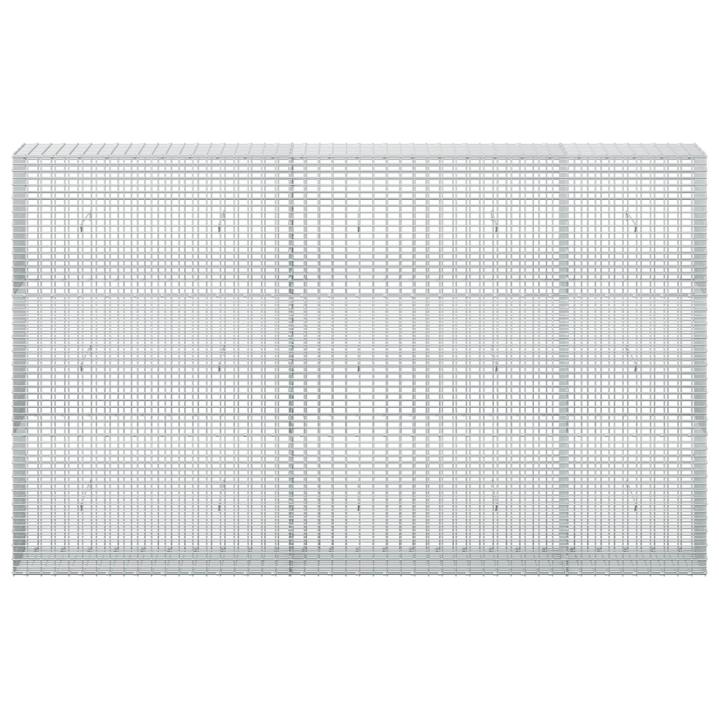 vidaXL Γκαμπιόν με σύρμα 5 mm και πλέγμα 5x2,5 cm 250x30x150 εκ