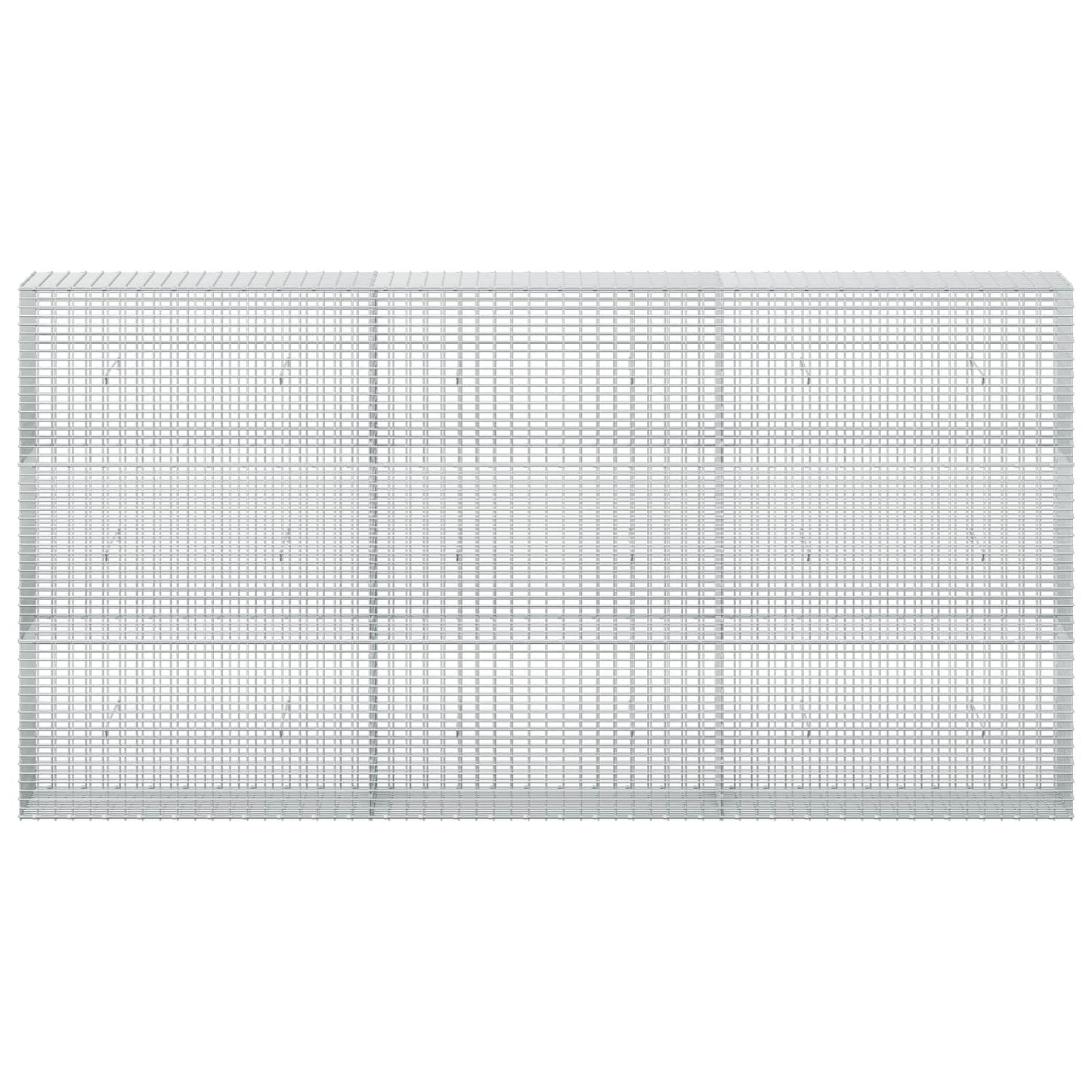 vidaXL Γκαμπιόν με σύρμα 5 mm και πλέγμα 5x2,5 cm 300x30x150 εκ