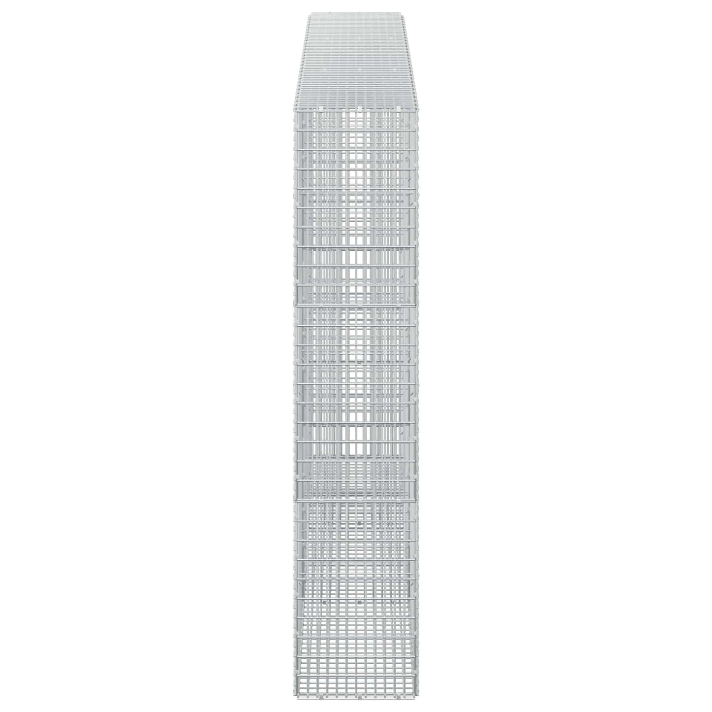 vidaXL Γκαμπιόν με σύρμα 5 mm και πλέγμα 5x2,5 cm 300x30x150 εκ