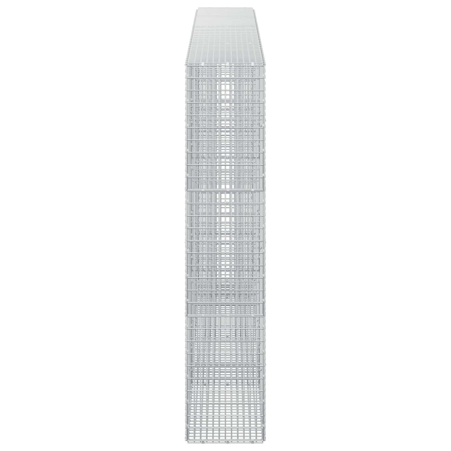 vidaXL Γκαμπιόν με σύρμα 5 mm και πλέγμα 5x2,5 cm 350x30x150 εκ.