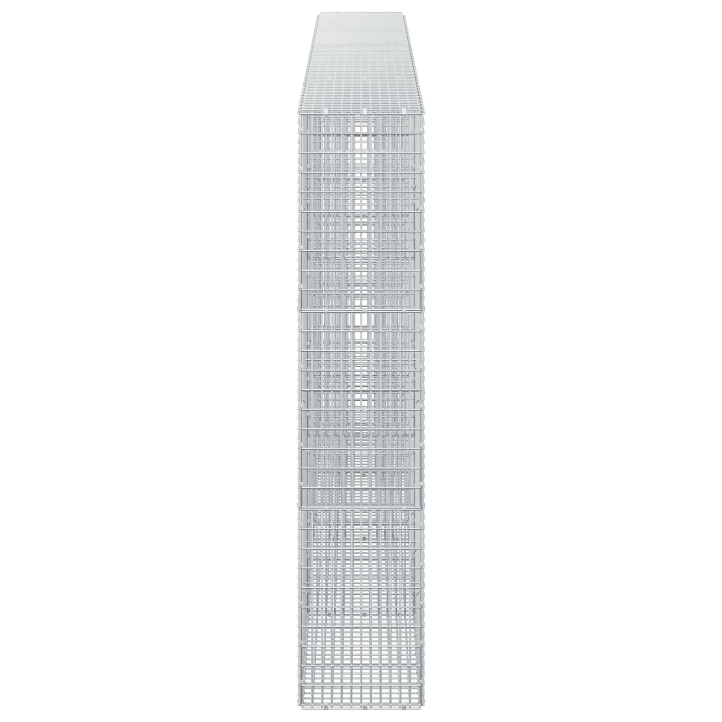 vidaXL Γκαμπιόν με σύρμα 5 mm και πλέγμα 5x2,5 cm 400x30x150 εκ