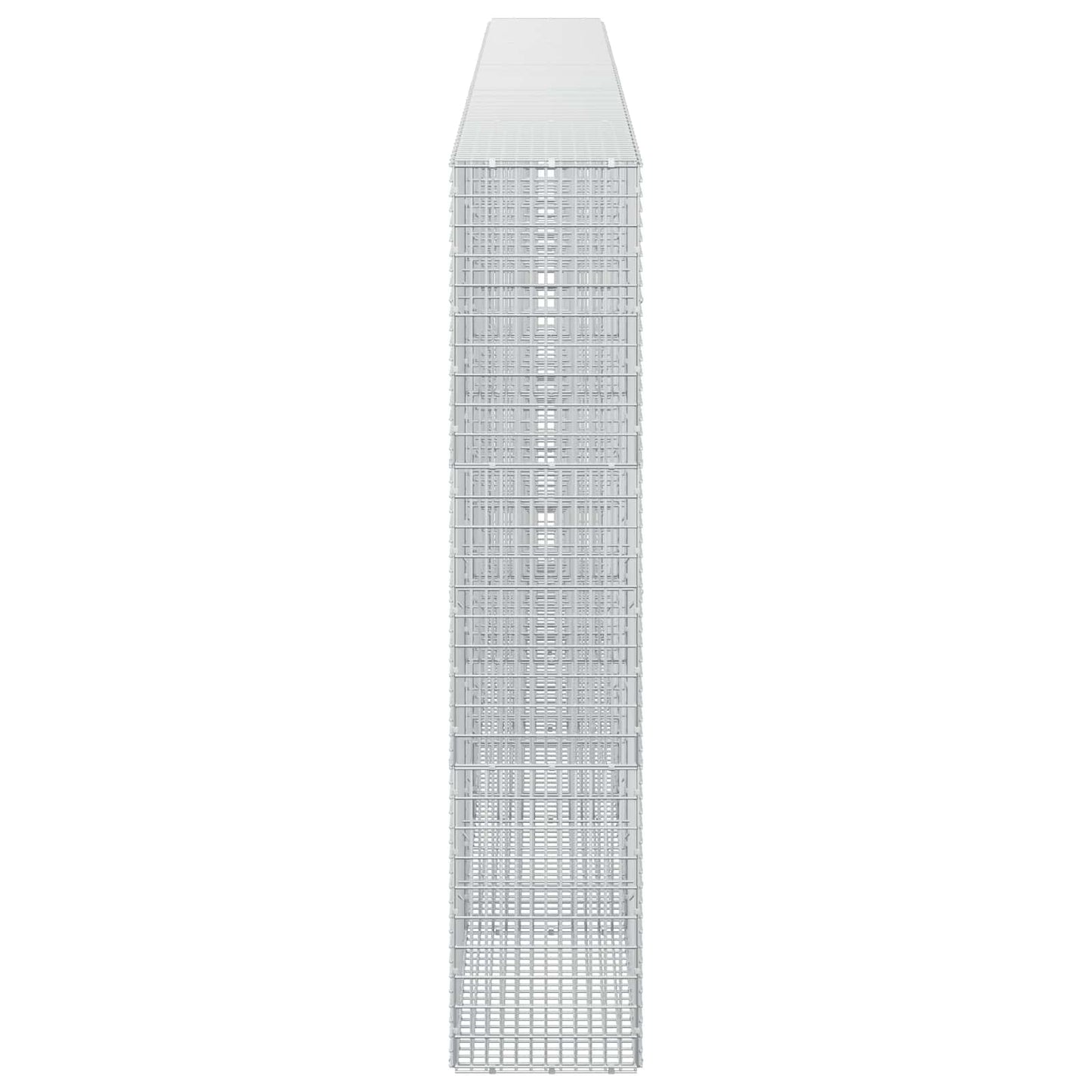 vidaXL Γκαμπιόν με σύρμα 5 mm και πλέγμα 5x2,5 cm 550x30x150 εκ