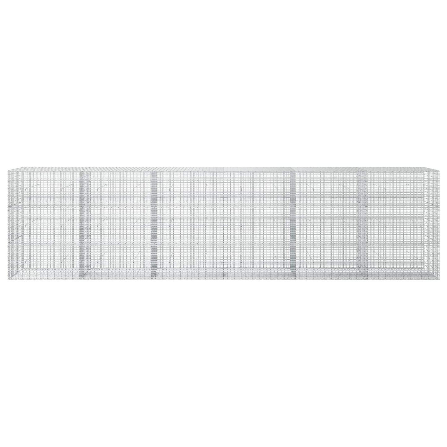 vidaXL Γκαμπιόν με σύρμα 5 mm και πλέγμα 5x2,5 cm 600x30x150 εκ