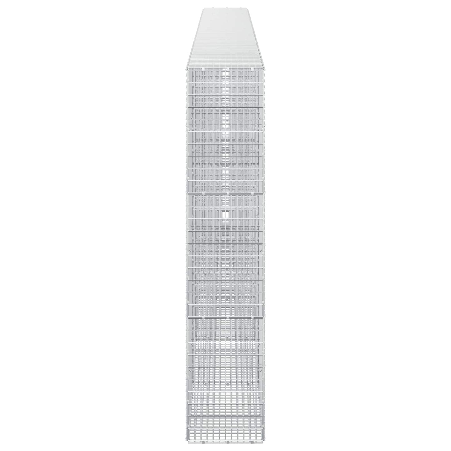 vidaXL Γκαμπιόν με σύρμα 5 mm και πλέγμα 5x2,5 cm 600x30x150 εκ