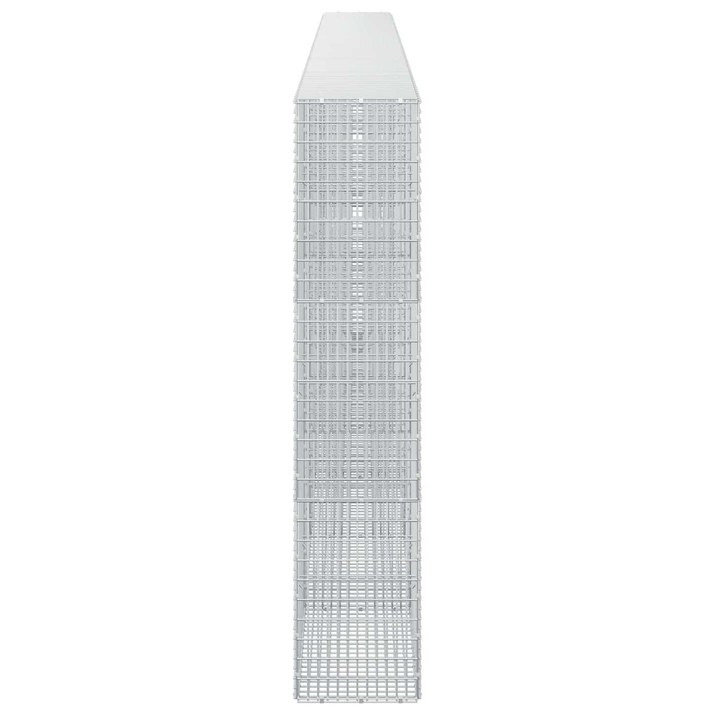 vidaXL Γκαμπιόν με σύρμα 5 mm και πλέγμα 5x2,5 cm 650x30x150 εκ
