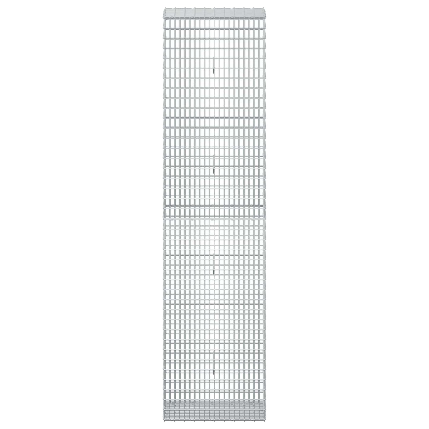 vidaXL Γκαμπιόν με σύρμα 5 mm και πλέγμα 5x2,5 cm 50x30x200 εκ