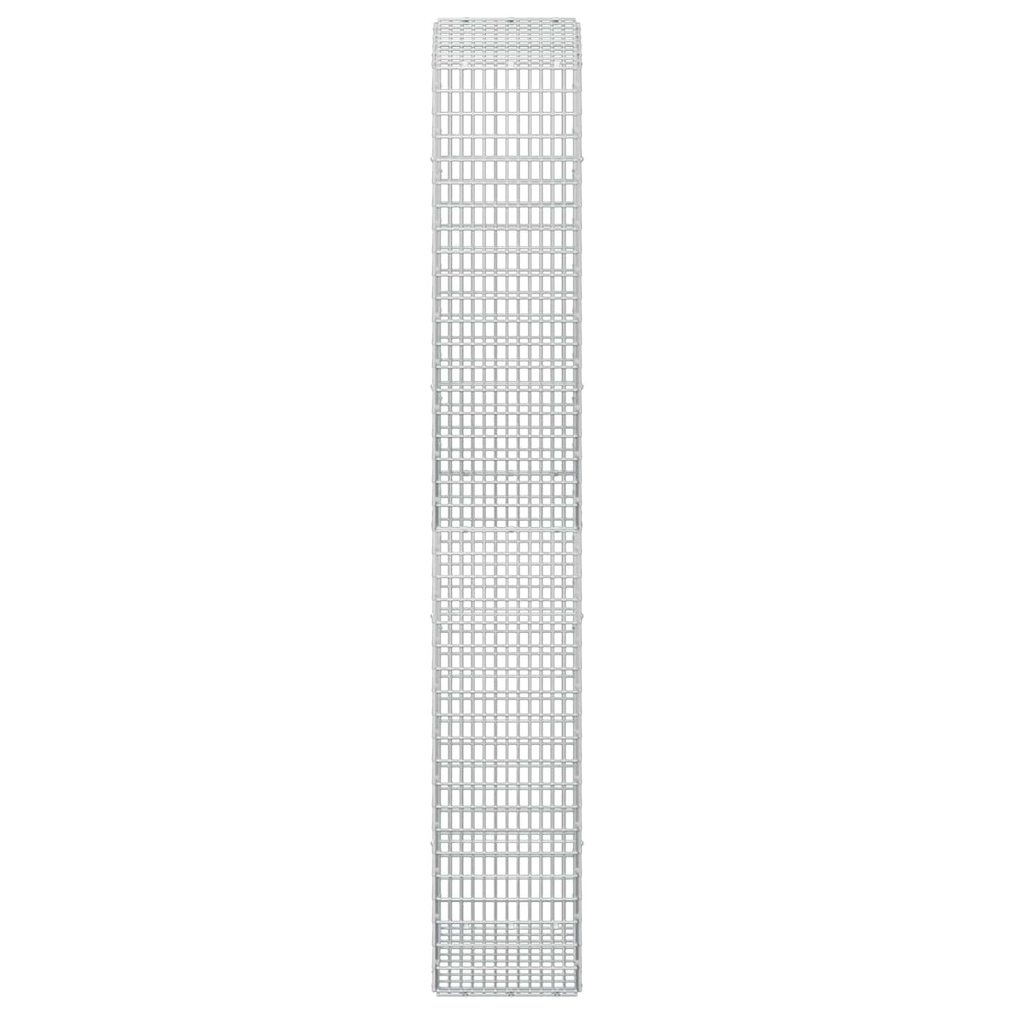 vidaXL Γκαμπιόν με σύρμα 5 mm και πλέγμα 5x2,5 cm 50x30x200 εκ