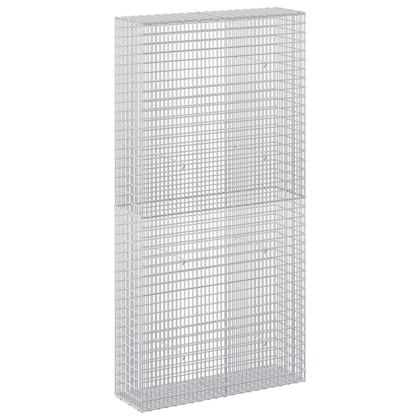 vidaXL Γκαμπιόν με σύρμα 5 mm και πλέγμα 5x2,5 cm 100x30x200 εκ.