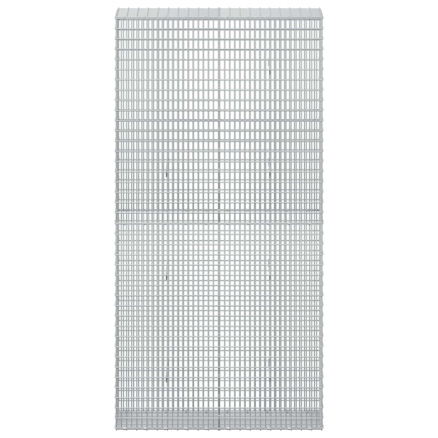 vidaXL Γκαμπιόν με σύρμα 5 mm και πλέγμα 5x2,5 cm 100x30x200 εκ.
