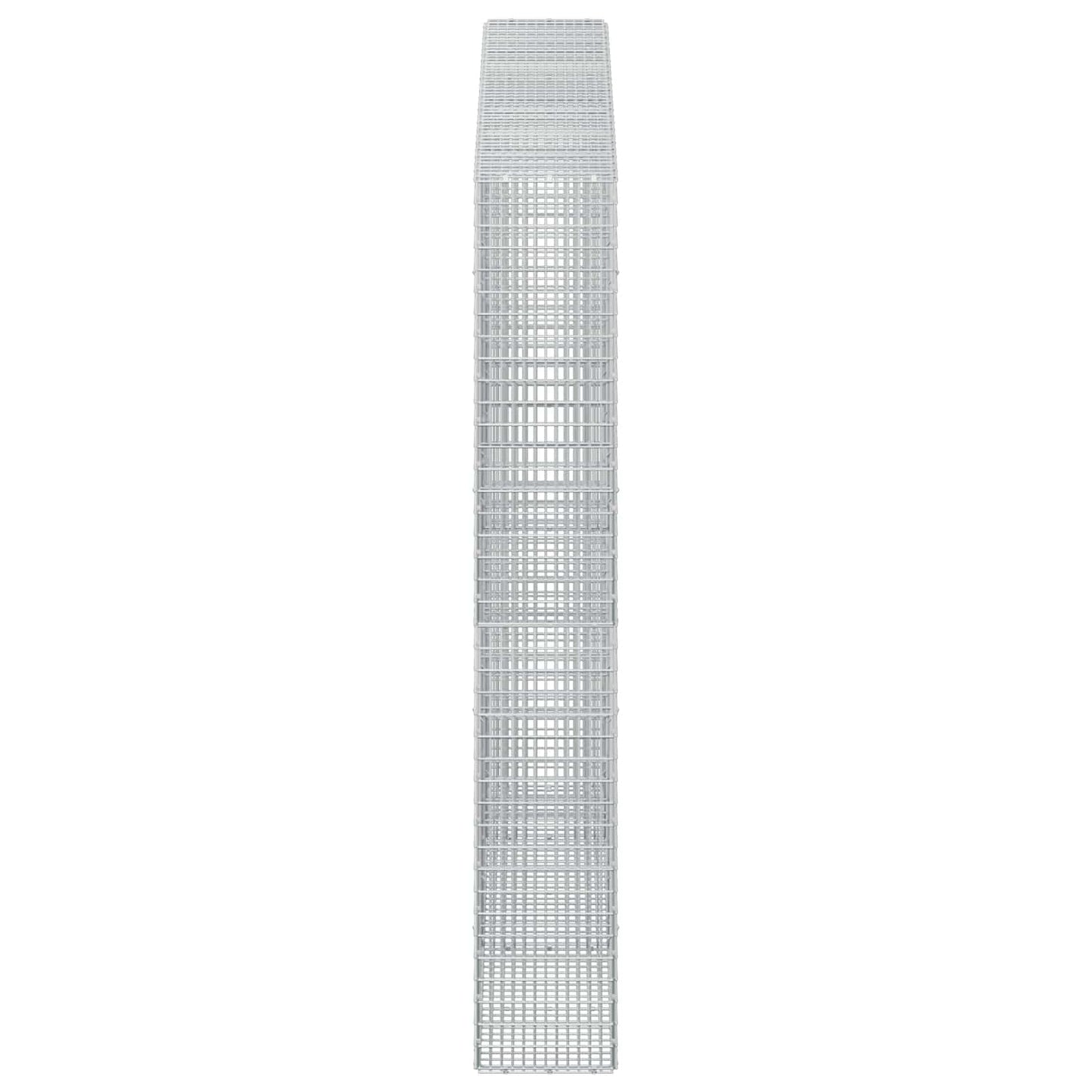 vidaXL Γκαμπιόν με σύρμα 5 mm και πλέγμα 5x2,5 cm 250x30x200 εκ.