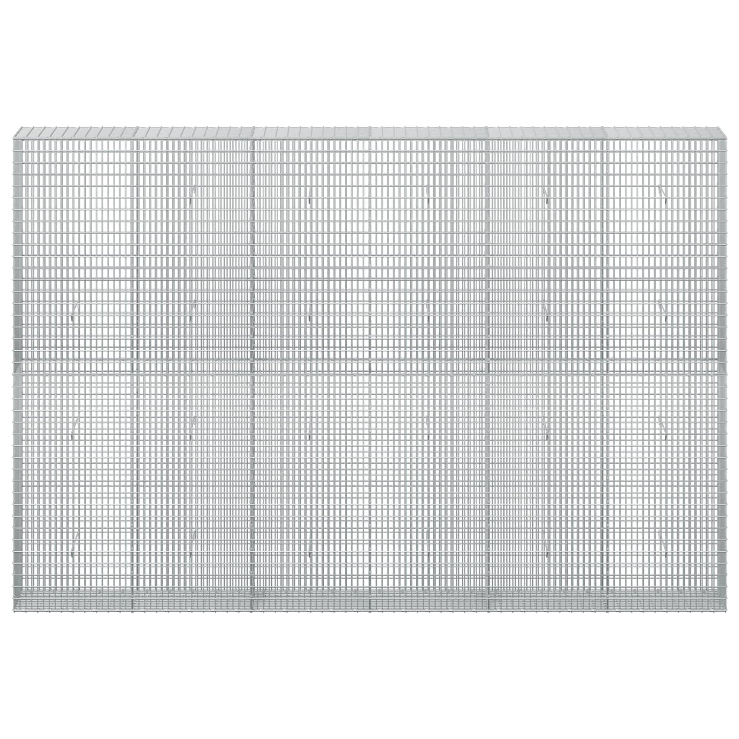 vidaXL Γκαμπιόν με σύρμα 5 mm και πλέγμα 5x2,5 cm 300x30x200 εκ