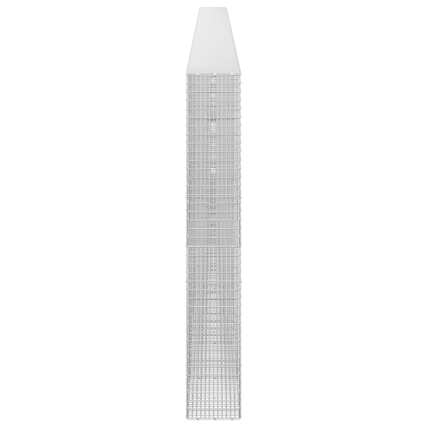 vidaXL Γκαμπιόν με σύρμα 5 mm και πλέγμα 5x2,5 cm 1100x30x200 εκ