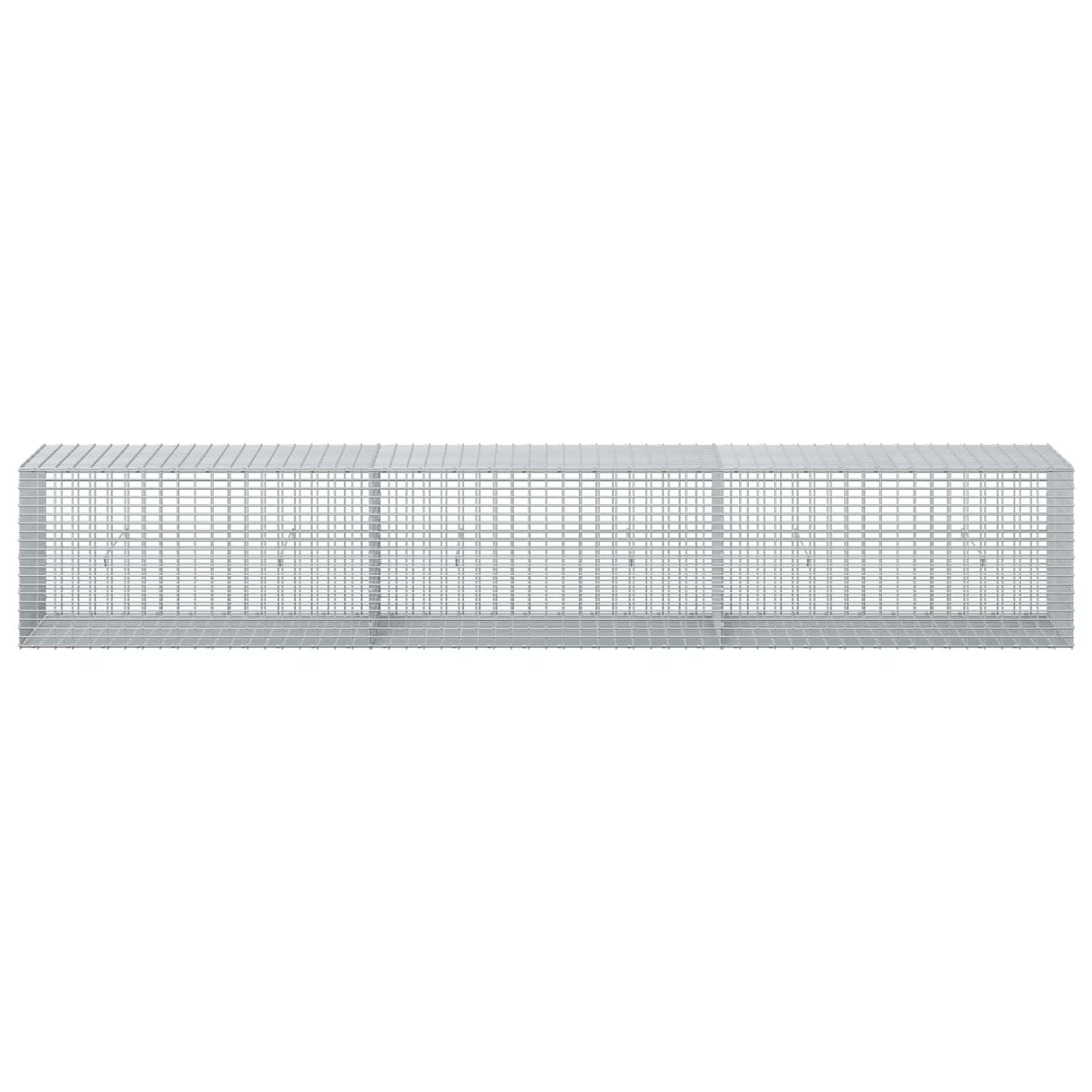 vidaXL Γκαμπιόν με σύρμα 5 mm και πλέγμα 5x2,5 cm 300x50x50 εκ