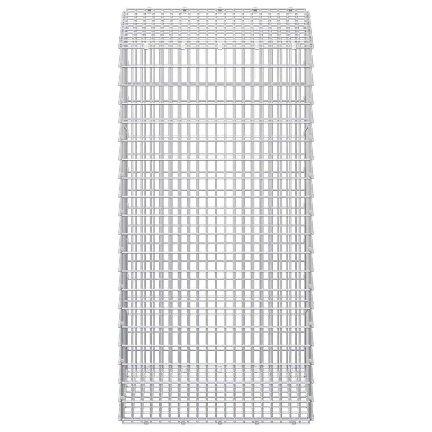 vidaXL Γκαμπιόν με σύρμα 5 mm και πλέγμα 5x2,5 cm 50x50x100 εκ