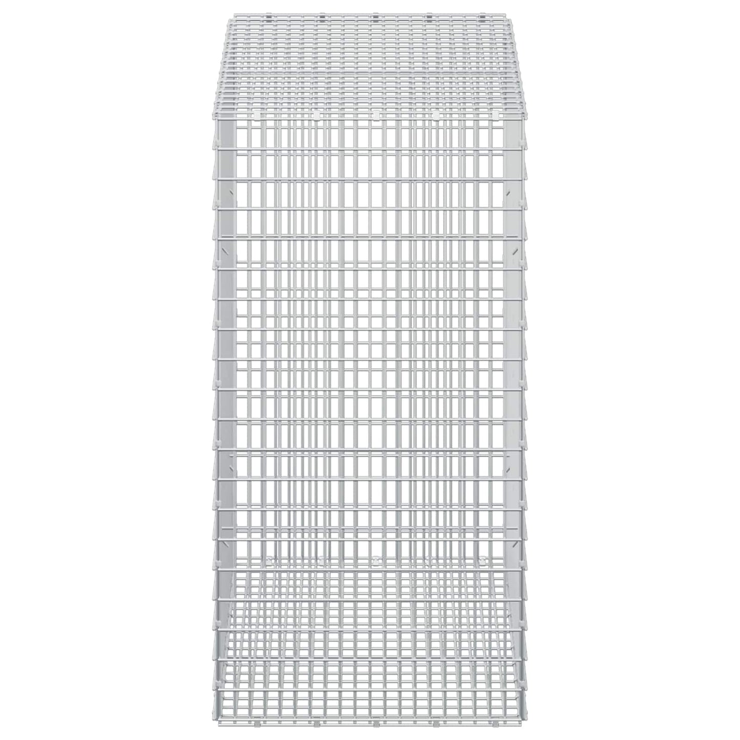 vidaXL Γκαμπιόν με σύρμα 5 mm και πλέγμα 5x2,5 cm 100x50x100 εκ