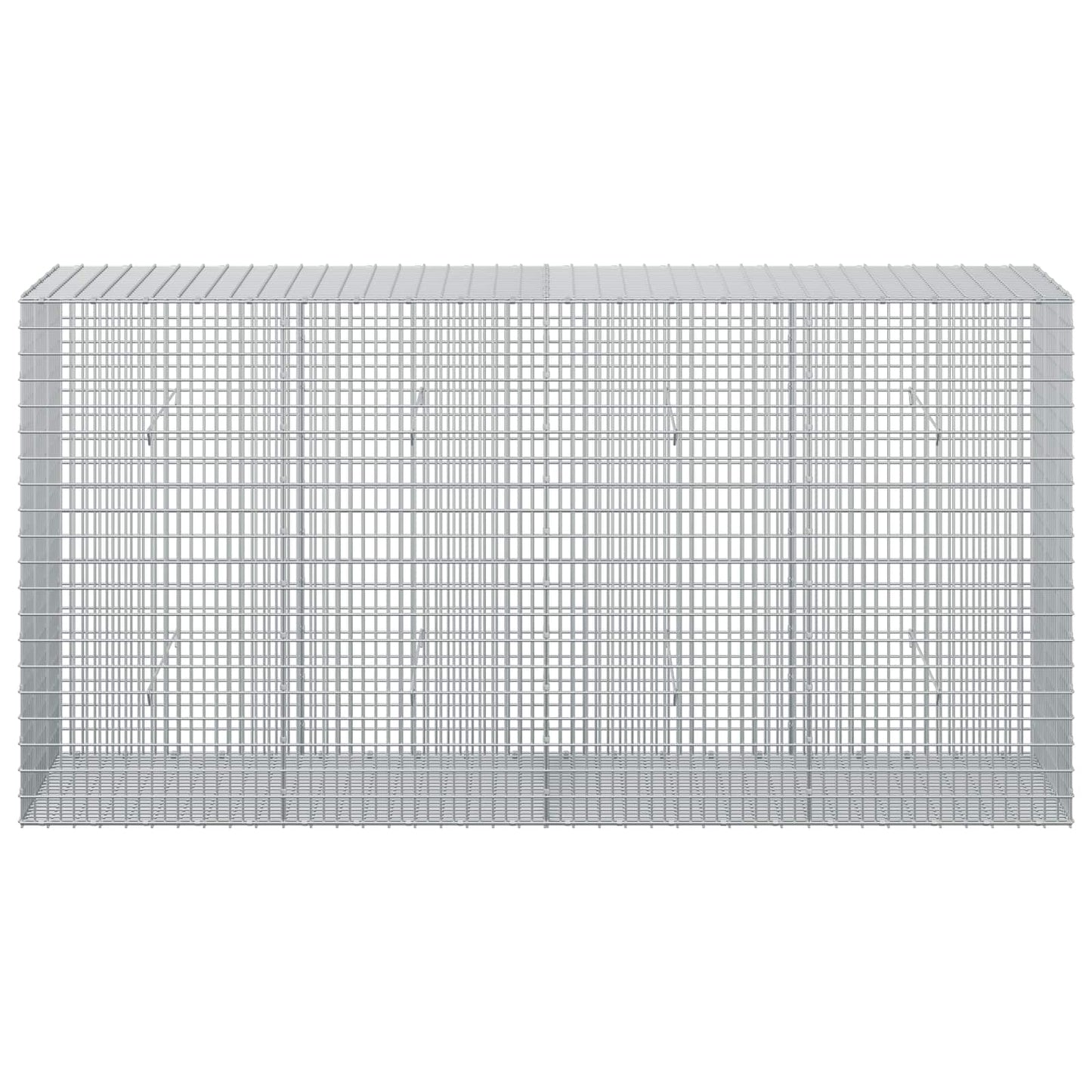 vidaXL Γκαμπιόν με σύρμα 5 mm και πλέγμα 5x2,5 cm 200x50x100 εκ