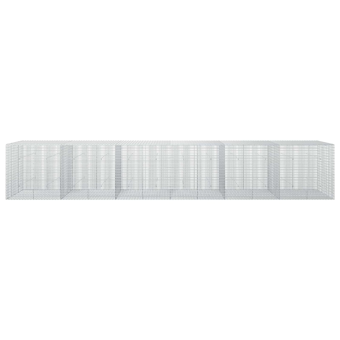 vidaXL Γκαμπιόν με σύρμα 5 mm και πλέγμα 5x2,5 cm 600x50x100 εκ