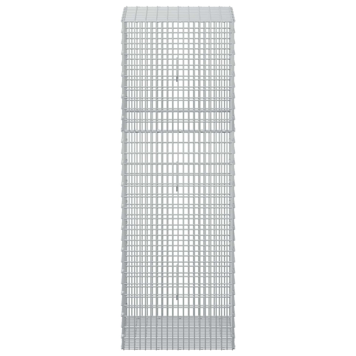 vidaXL Γκαμπιόν με σύρμα 5 mm και πλέγμα 5x2,5 cm 50x50x150 εκ