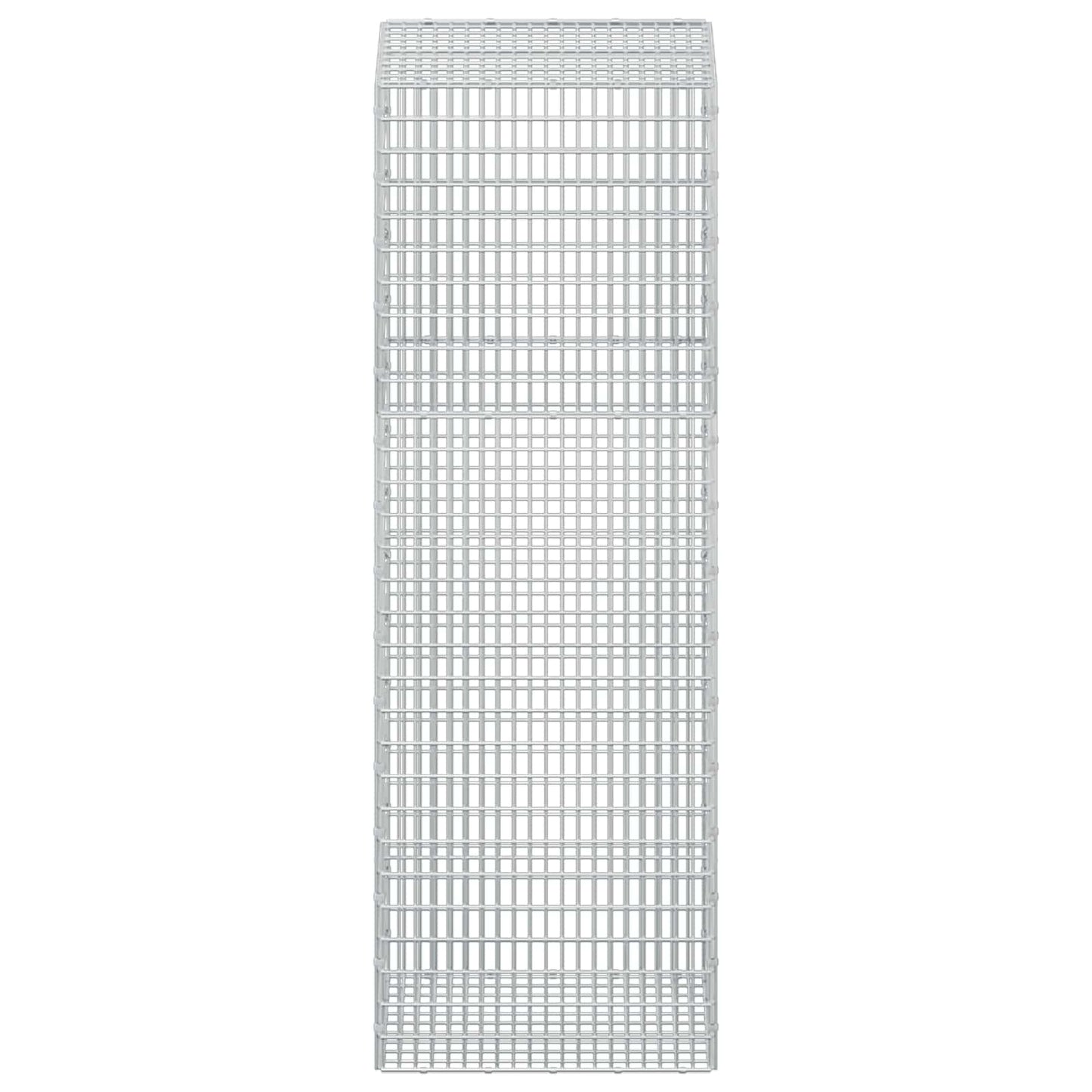 vidaXL Γκαμπιόν με σύρμα 5 mm και πλέγμα 5x2,5 cm 50x50x150 εκ