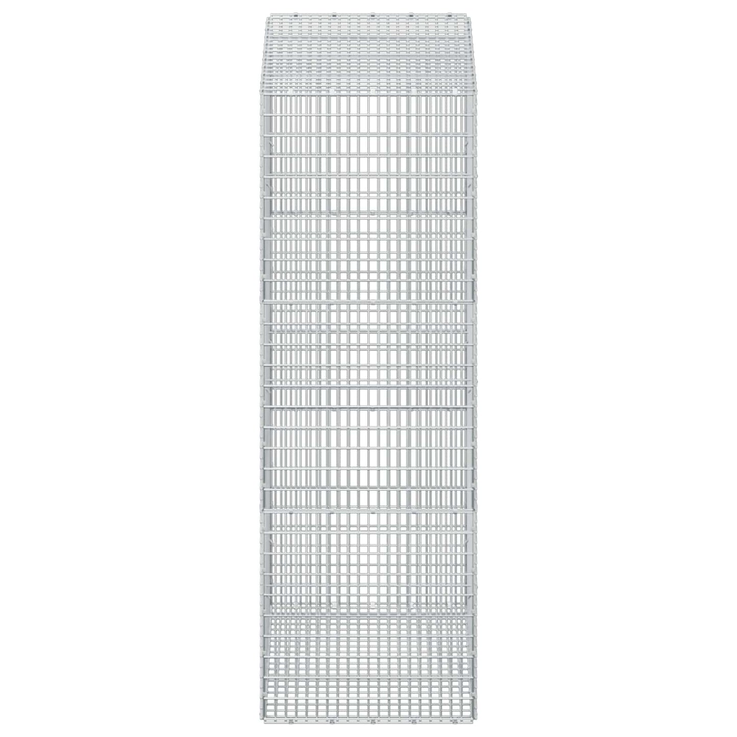 vidaXL Γκαμπιόν με σύρμα 5 mm και πλέγμα 5x2,5 cm 100x50x150 εκ