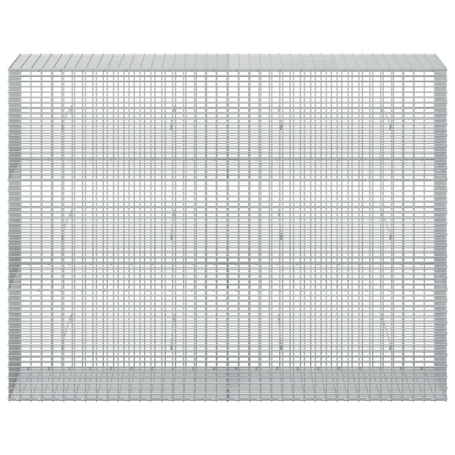 vidaXL Γκαμπιόν με σύρμα 5 mm και πλέγμα 5x2,5 cm 200x50x150 εκ