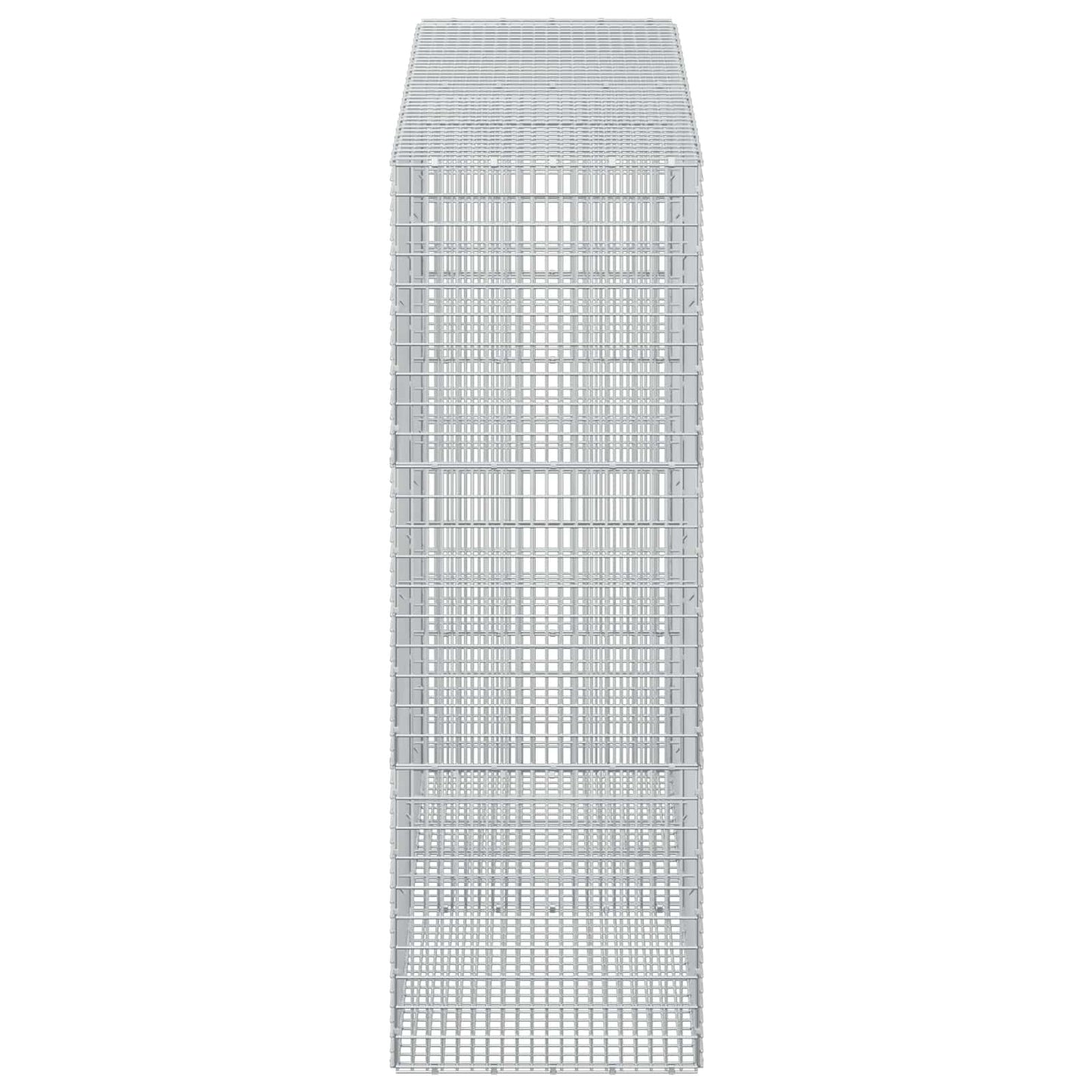 vidaXL Γκαμπιόν με σύρμα 5 mm και πλέγμα 5x2,5 cm 200x50x150 εκ