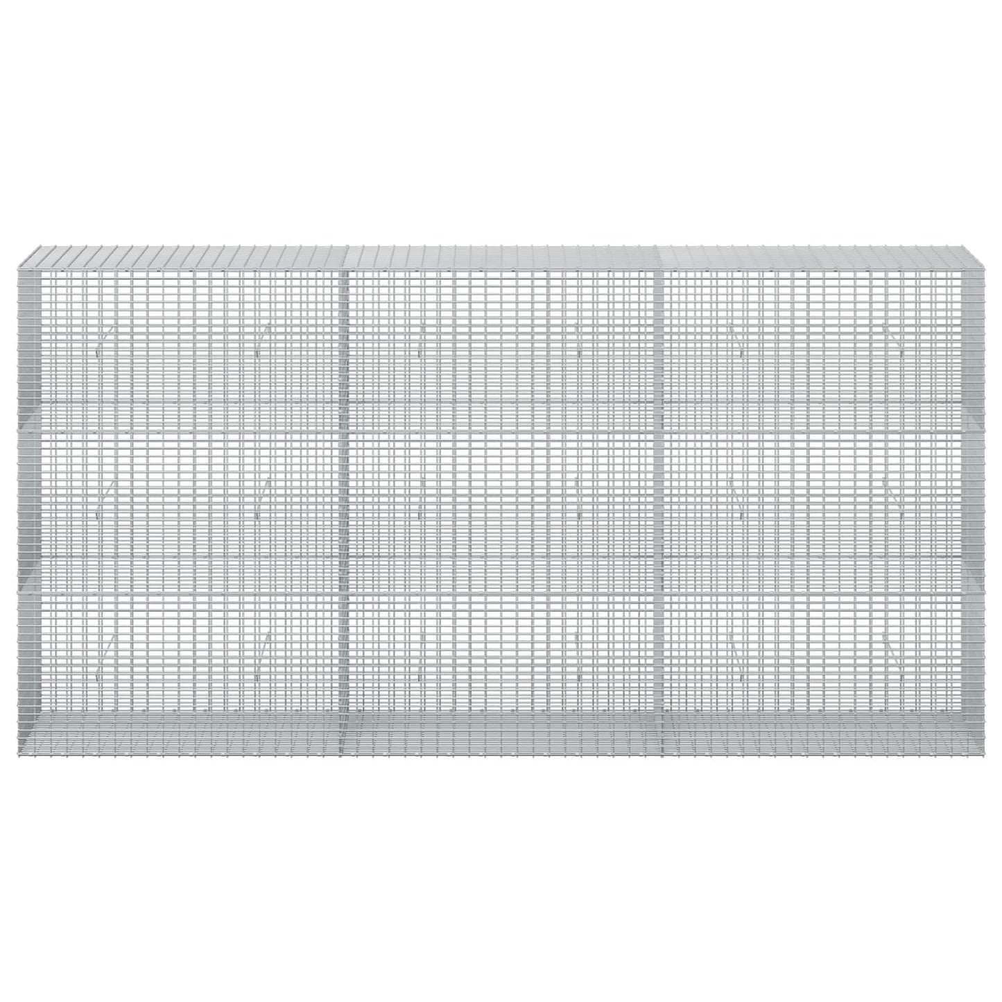 vidaXL Γκαμπιόν με σύρμα 5 mm και πλέγμα 5x2,5 cm 300x50x150 εκ.