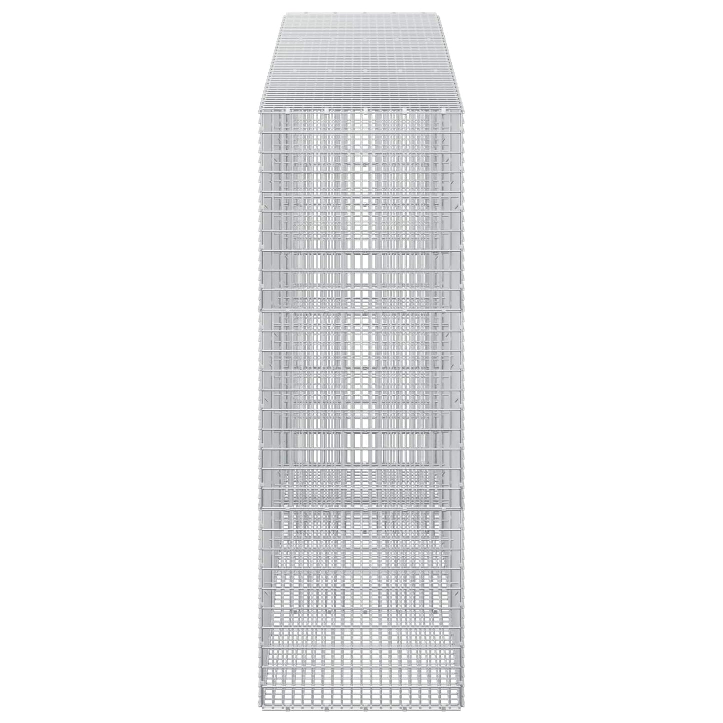 vidaXL Γκαμπιόν με σύρμα 5 mm και πλέγμα 5x2,5 cm 300x50x150 εκ.