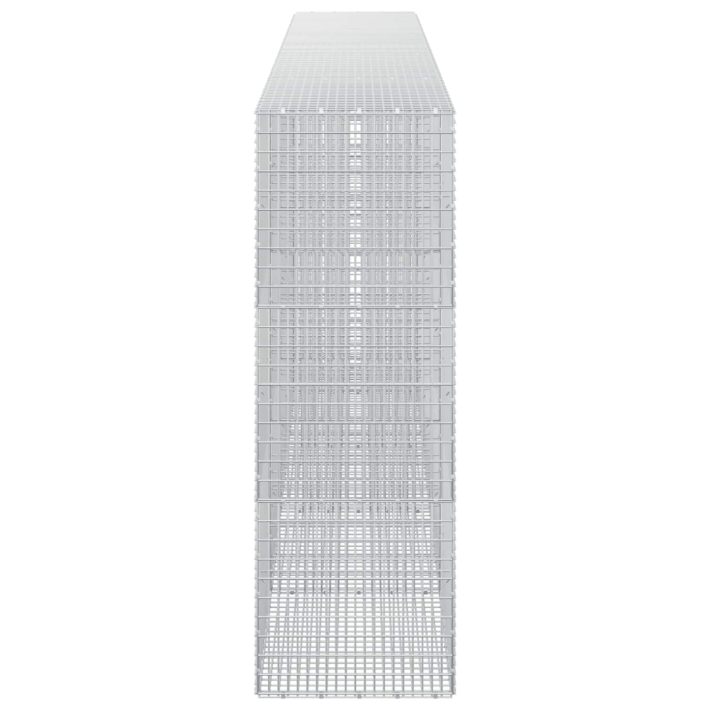 vidaXL Γκαμπιόν με σύρμα 5 mm και πλέγμα 5x2,5 cm 450x50x150 εκ