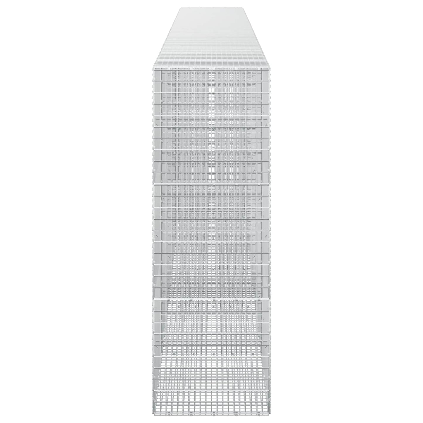 vidaXL Γκαμπιόν με σύρμα 5 mm και πλέγμα 5x2,5 cm 600x50x150 εκ