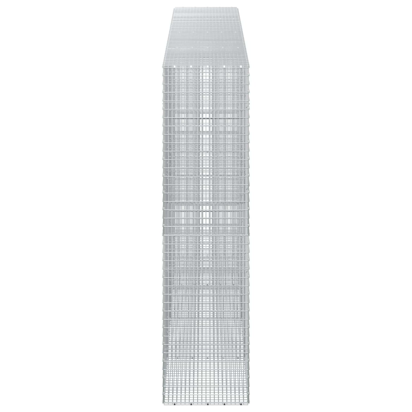 vidaXL Γκαμπιόν με σύρμα 5 mm και πλέγμα 5x2,5 cm 400x50x200 εκ