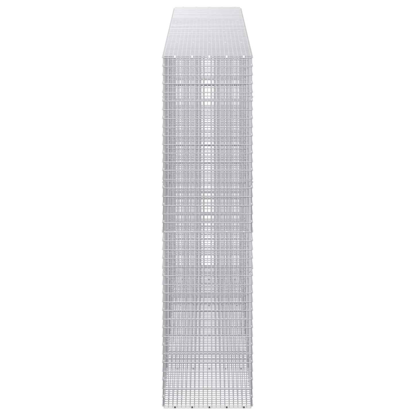 vidaXL Γκαμπιόν με σύρμα 5 mm και πλέγμα 5x2,5 cm 450x50x200 εκ