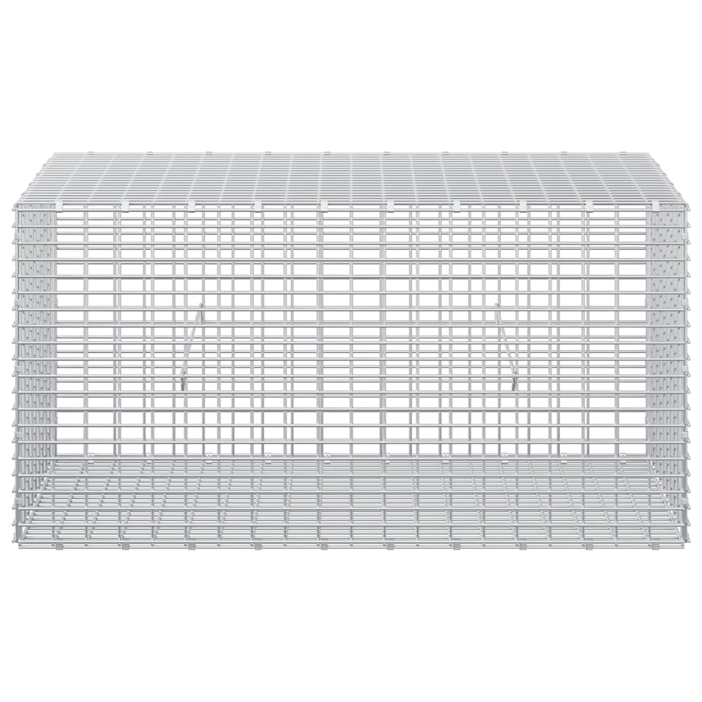 vidaXL Γκαμπιόν με σύρμα 5 mm και πλέγμα 5x2,5 cm 50x100x50 εκ
