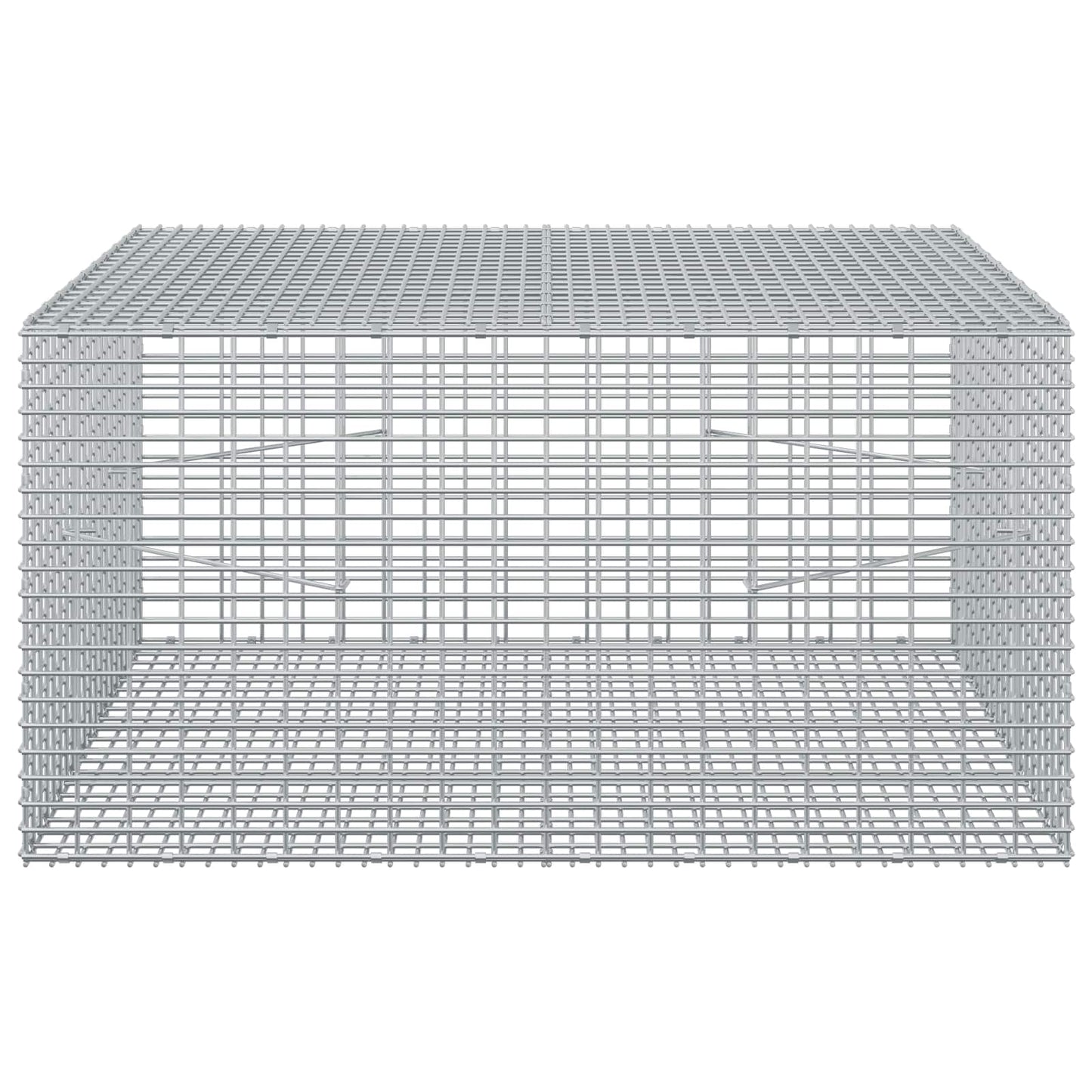 vidaXL Γκαμπιόν με σύρμα 5 mm και πλέγμα 5x2,5 cm 100x100x50 εκ