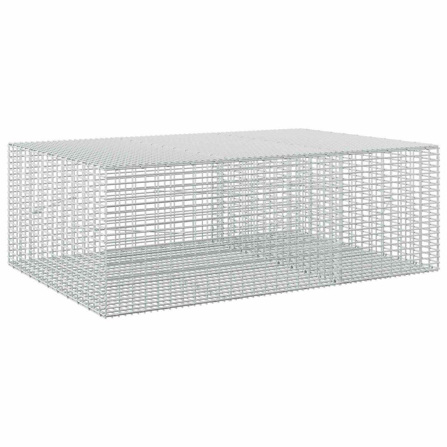 vidaXL Γκαμπιόν με σύρμα 5 mm και πλέγμα 5x2,5 cm 150x100x50 εκ