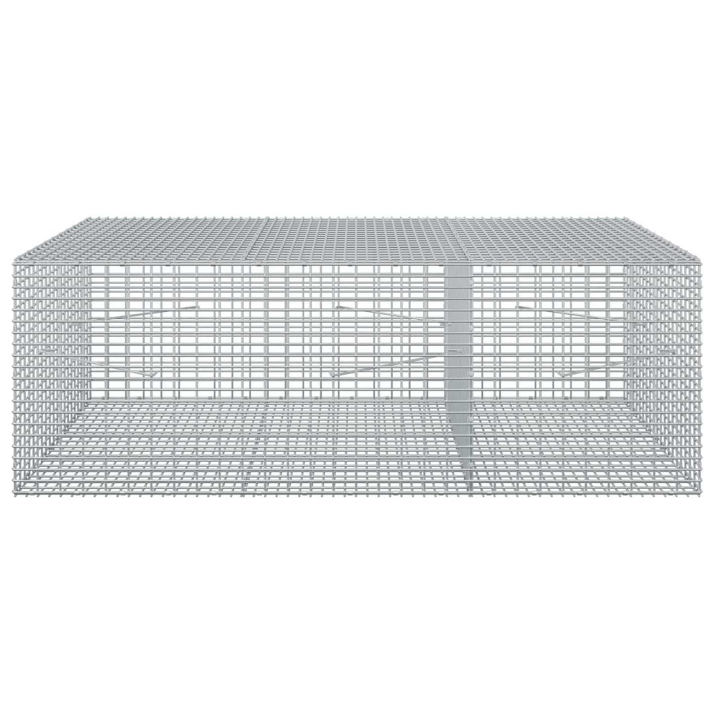 vidaXL Γκαμπιόν με σύρμα 5 mm και πλέγμα 5x2,5 cm 150x100x50 εκ