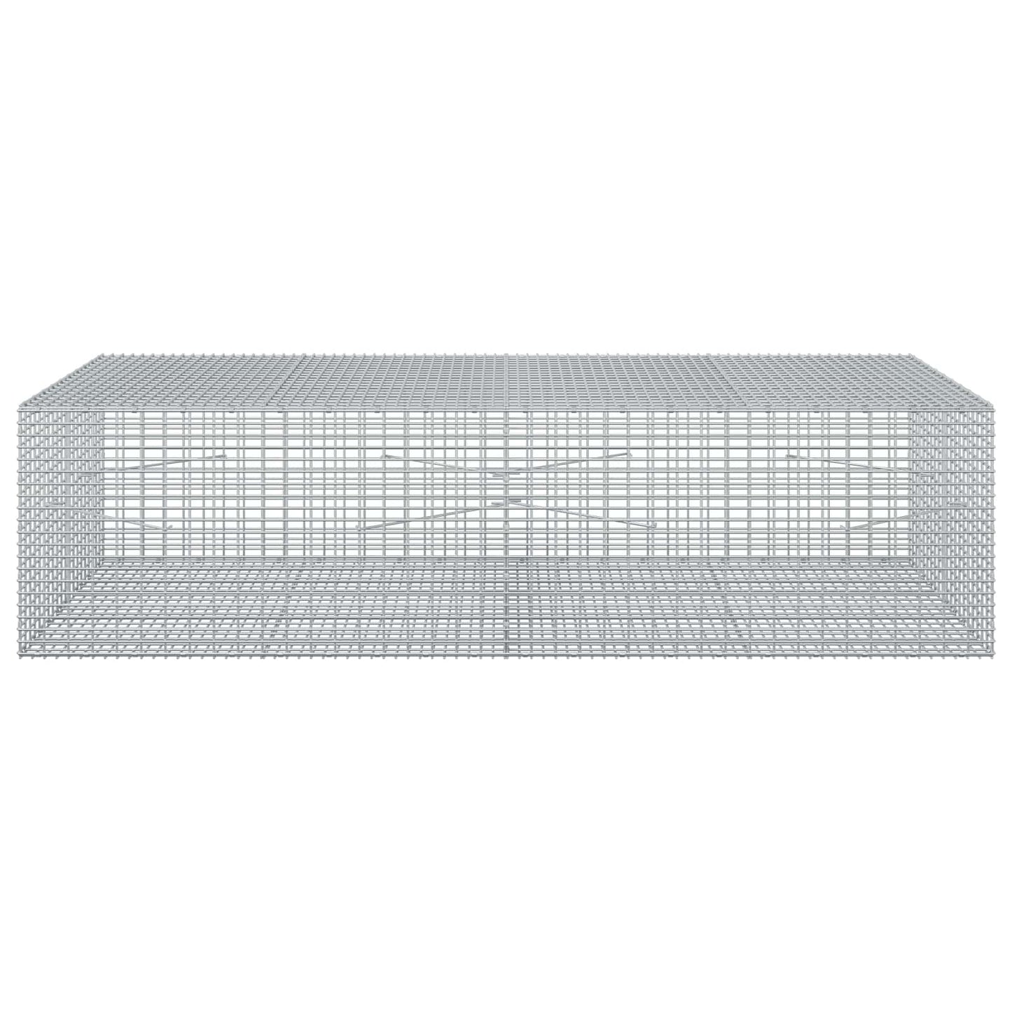 vidaXL Γκαμπιόν με σύρμα 5 mm και πλέγμα 5x2,5 cm 200x100x50 εκ