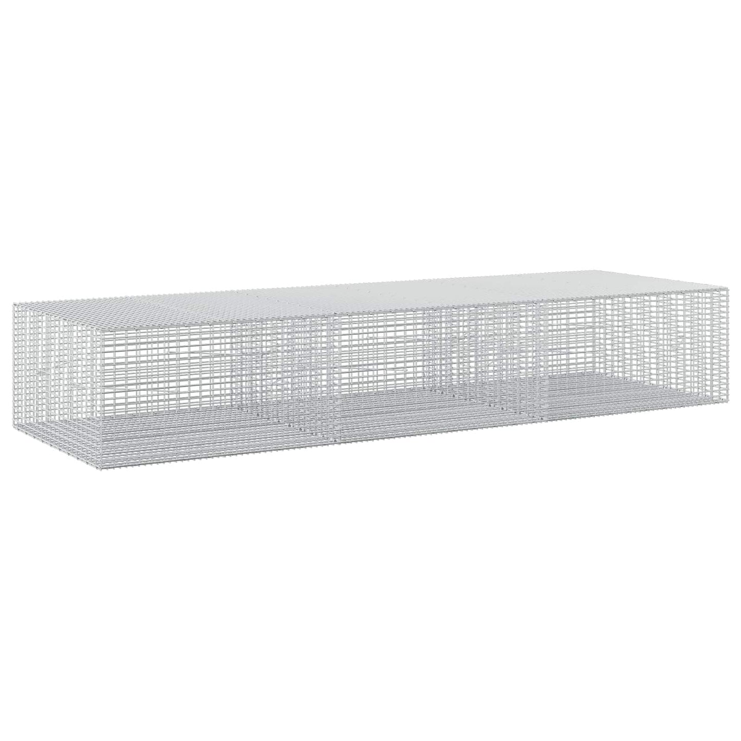 vidaXL Γκαμπιόν με σύρμα 5 mm και πλέγμα 5x2,5 cm 300x100x50 εκ