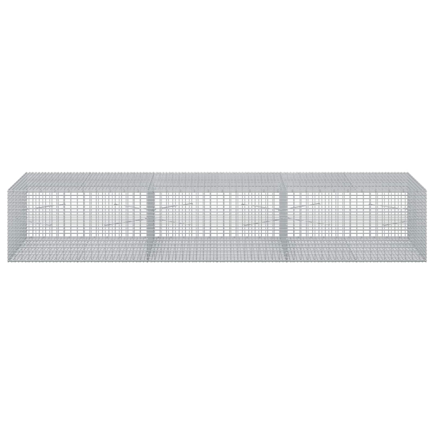 vidaXL Γκαμπιόν με σύρμα 5 mm και πλέγμα 5x2,5 cm 300x100x50 εκ